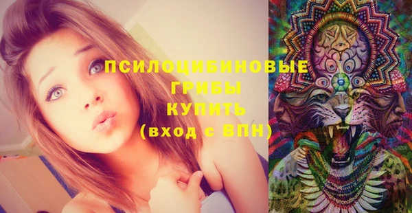 дурь Горно-Алтайск